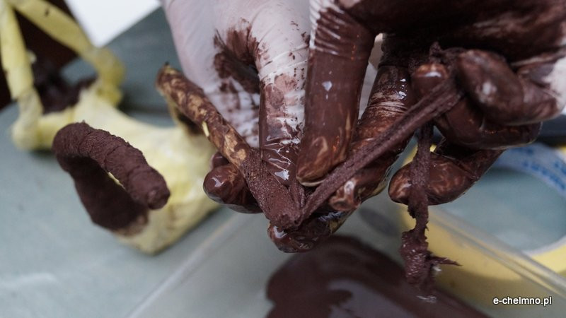 Chełmińskie Bramy Czasu