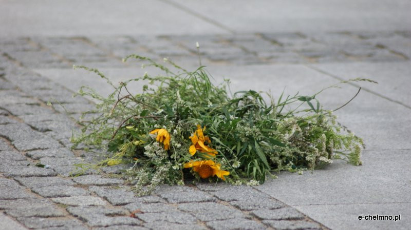 Chełmińskie Bramy Czasu