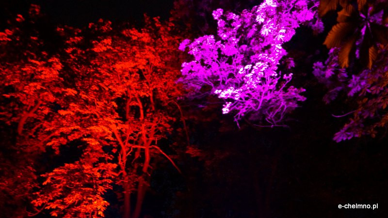 Chełmińskie Bramy Czasu