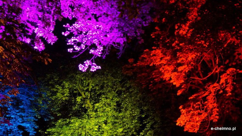 Chełmińskie Bramy Czasu