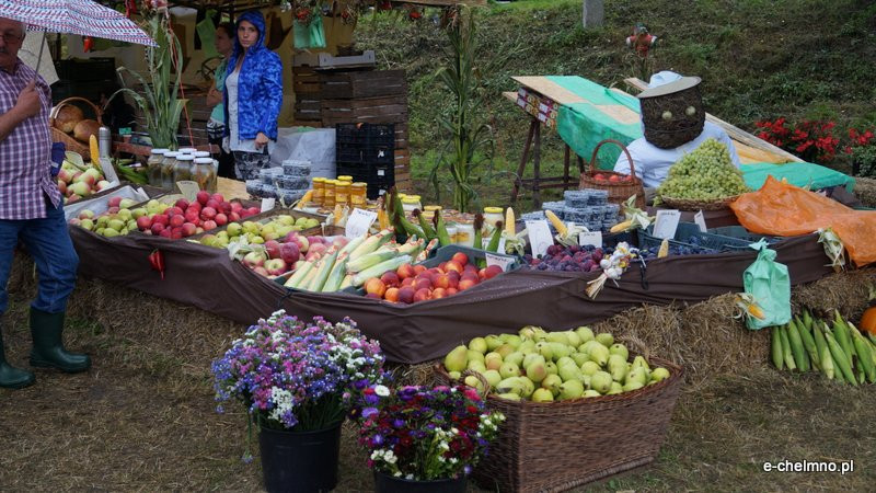 Festiwal Smaku ? Gruczno 2016