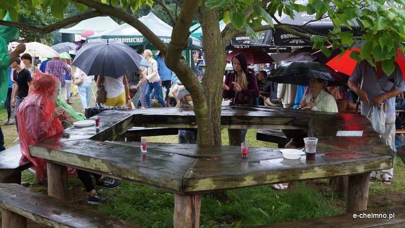 Festiwal Smaku ? Gruczno 2016