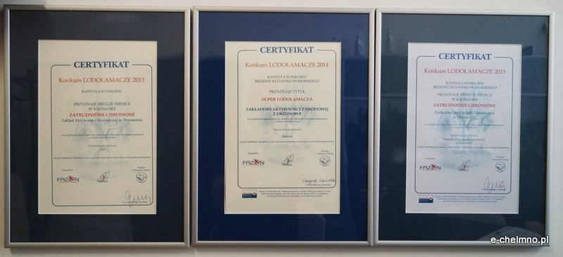 Zakład Aktywności Zawodowej w Drzonowie