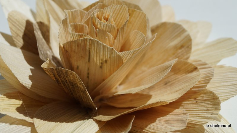 Zakład Aktywności Zawodowej w Drzonowie