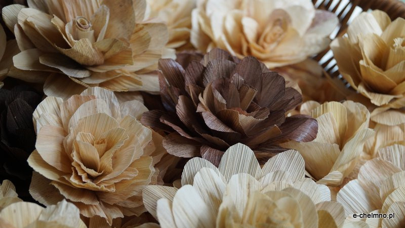 Zakład Aktywności Zawodowej w Drzonowie