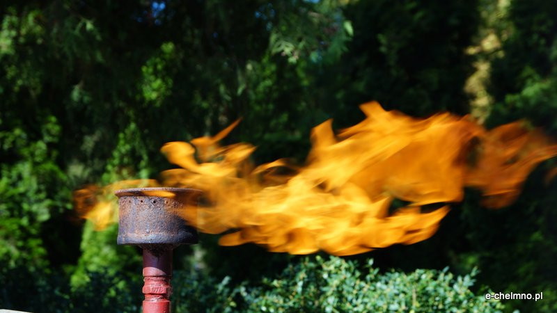 Uroczysta zbiórka przy Pomniku Nieznanego Żołnierza