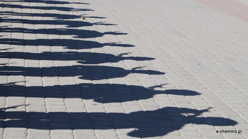 Uroczysta zbiórka przy Pomniku Nieznanego Żołnierza