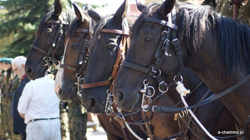 Uroczysta zbiórka przy Pomniku Nieznanego Żołnierza