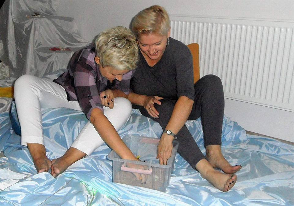 Symulacje polisensoryczne ? pożegnanie lata