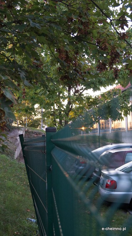 Pracownicy ZUM-u niszczą ogrodzenia (nagranie)