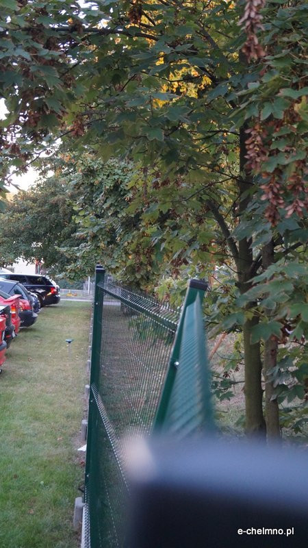 Pracownicy ZUM-u niszczą ogrodzenia (nagranie)