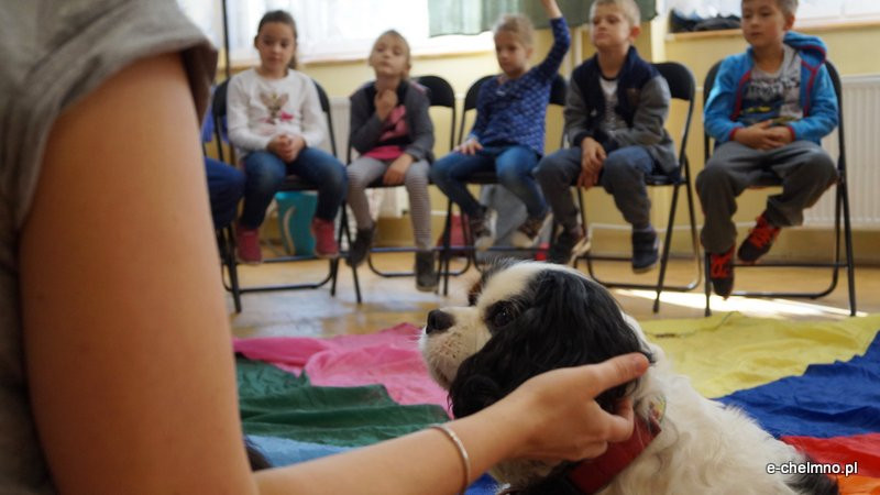 Zabawa z pieskiem ? dogoterapia