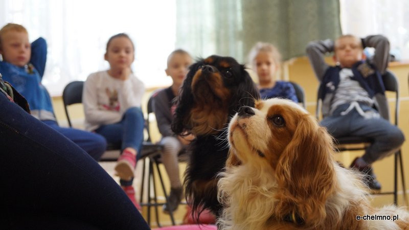 Zabawa z pieskiem ? dogoterapia