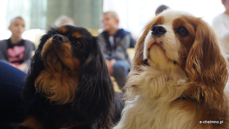 Zabawa z pieskiem ? dogoterapia