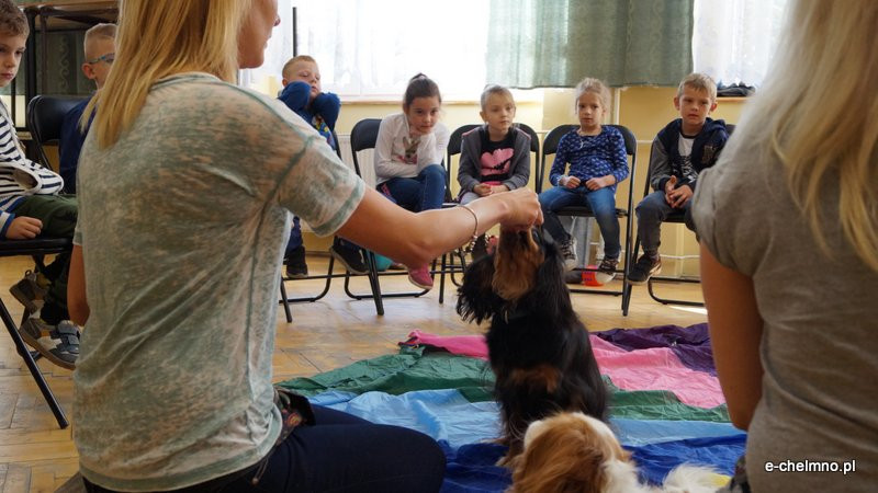 Zabawa z pieskiem ? dogoterapia