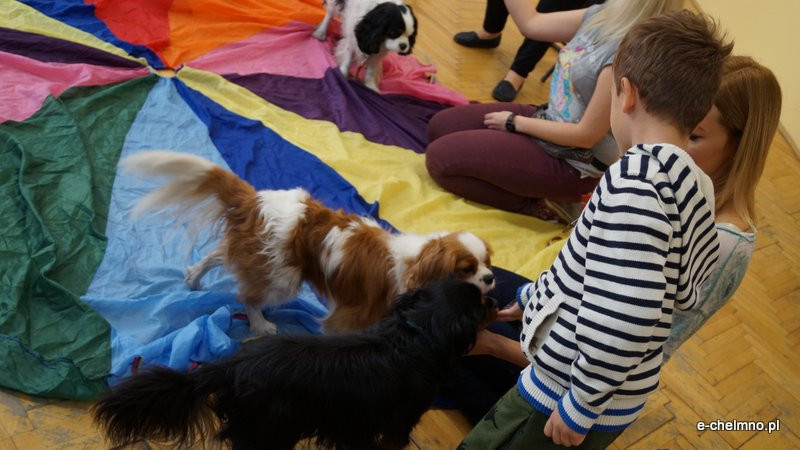 Zabawa z pieskiem ? dogoterapia