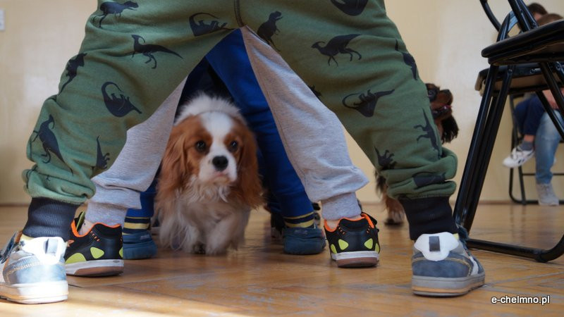 Zabawa z pieskiem ? dogoterapia