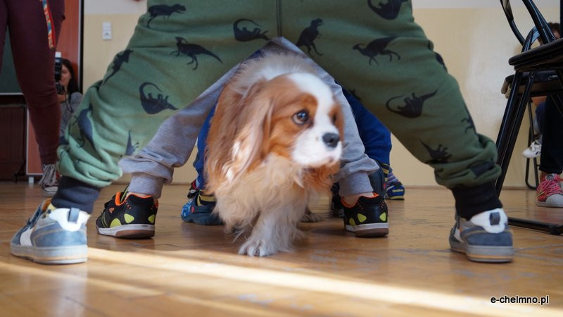 Zabawa z pieskiem ? dogoterapia