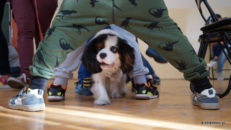 Zabawa z pieskiem ? dogoterapia