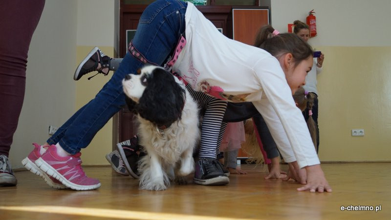 Zabawa z pieskiem ? dogoterapia