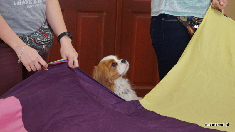 Zabawa z pieskiem ? dogoterapia