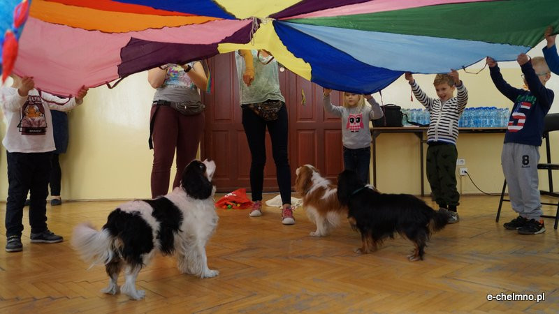 Zabawa z pieskiem ? dogoterapia