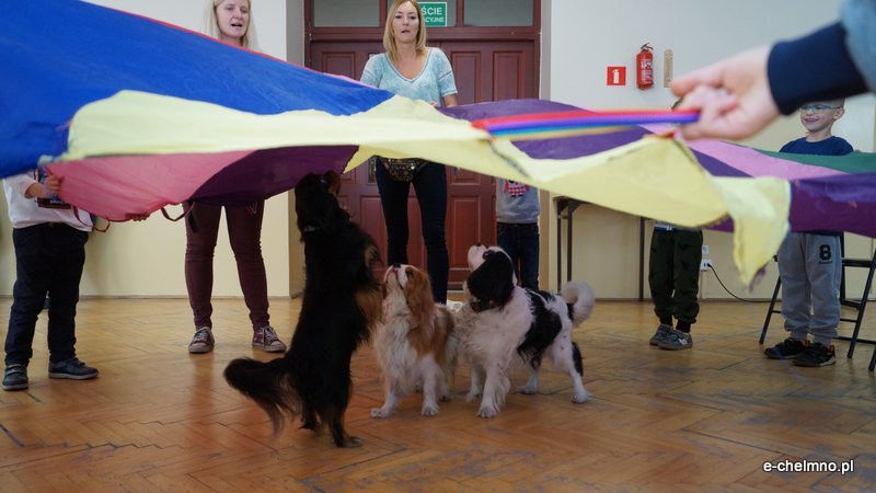 Zabawa z pieskiem ? dogoterapia