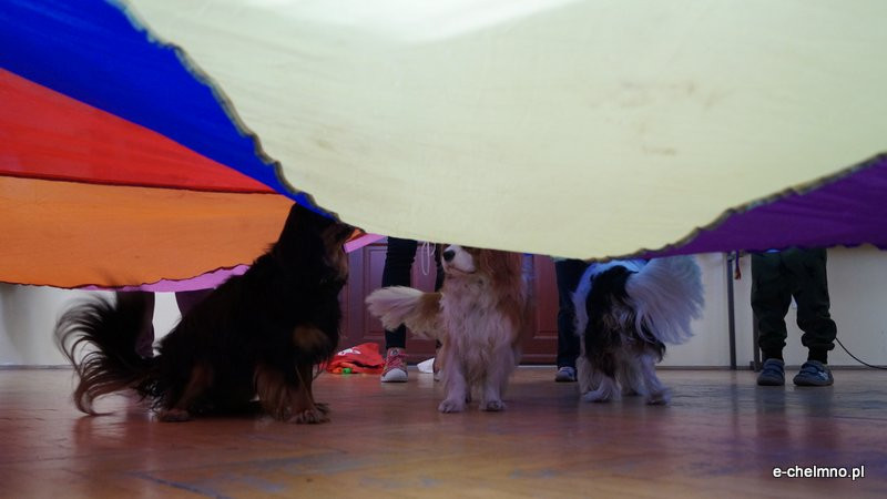 Zabawa z pieskiem ? dogoterapia