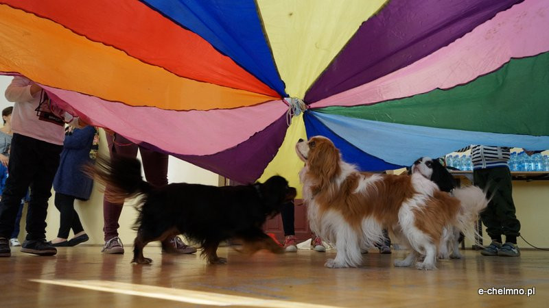 Zabawa z pieskiem ? dogoterapia