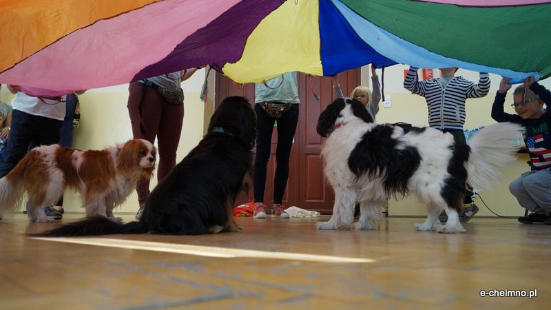 Zabawa z pieskiem ? dogoterapia