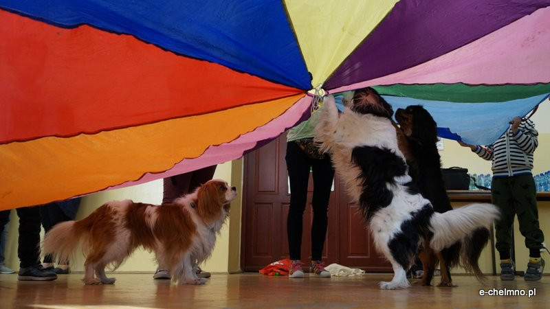 Zabawa z pieskiem ? dogoterapia