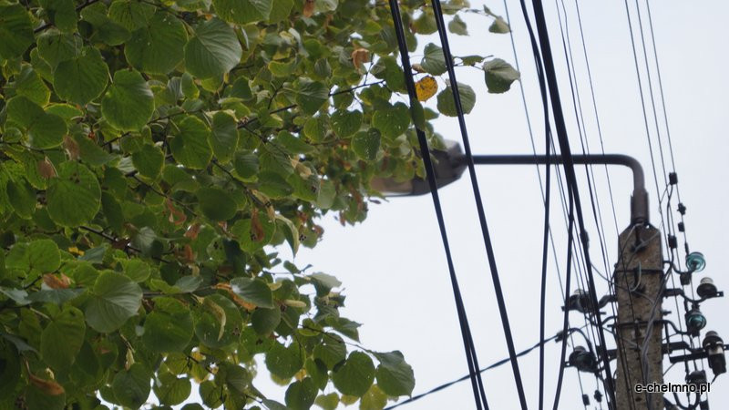 ?Egipskie ciemności? - niebezpiecznie na Kamionce