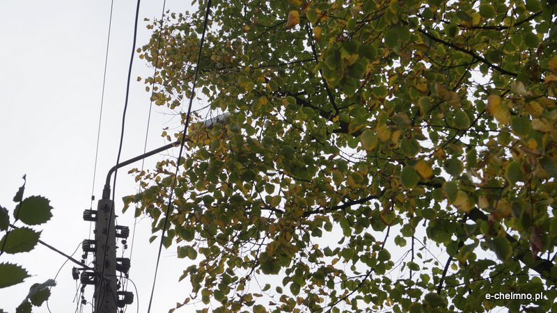 ?Egipskie ciemności? - niebezpiecznie na Kamionce