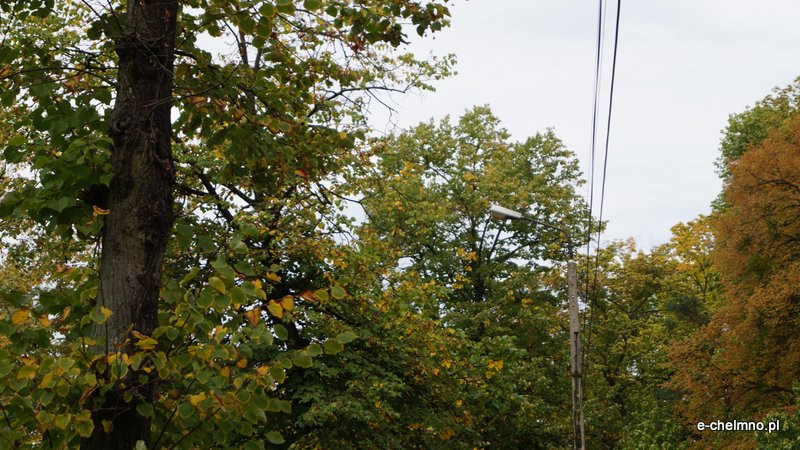 ?Egipskie ciemności? - niebezpiecznie na Kamionce