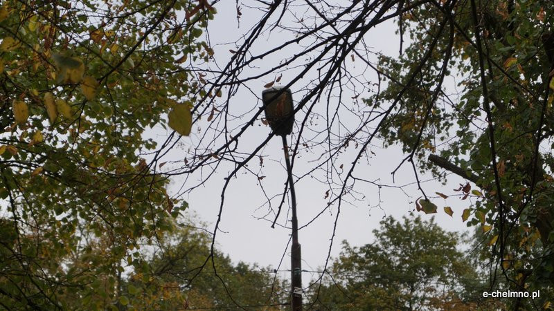 ?Egipskie ciemności? - niebezpiecznie na Kamionce