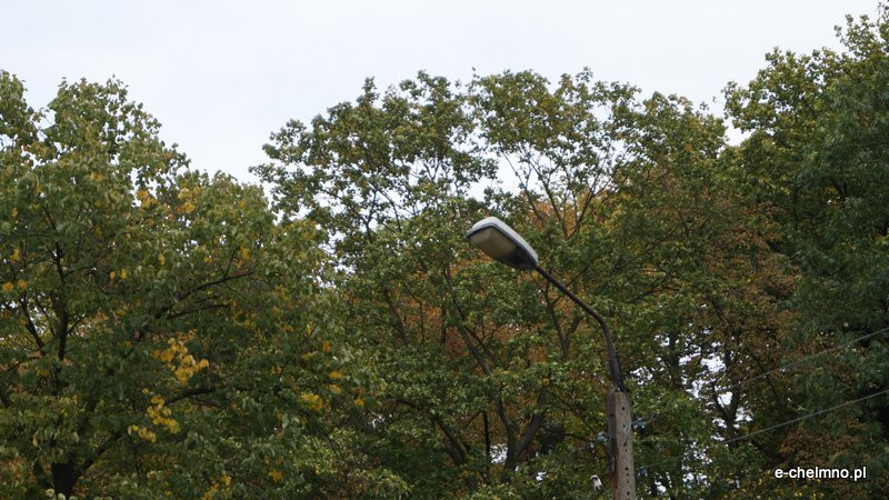 ?Egipskie ciemności? - niebezpiecznie na Kamionce