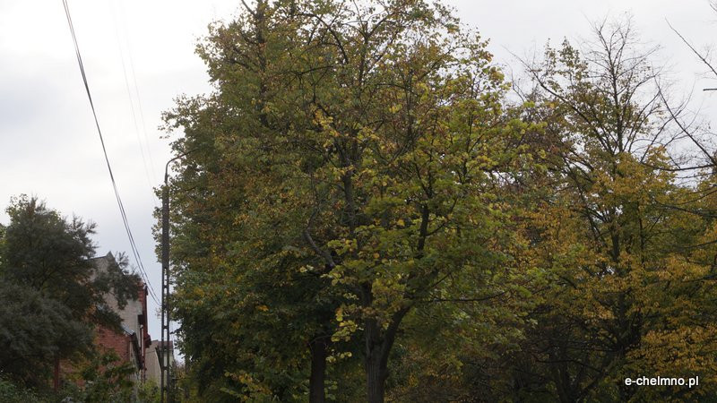 ?Egipskie ciemności? - niebezpiecznie na Kamionce