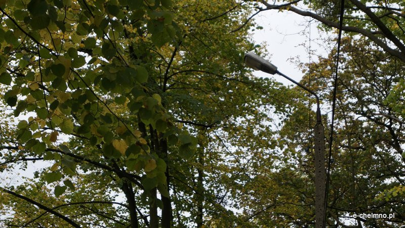 ?Egipskie ciemności? - niebezpiecznie na Kamionce