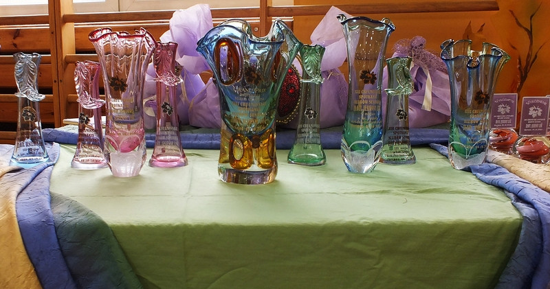 Prezentacje Artystyczne Seniorów w Chełmnie - nagrody wręczone