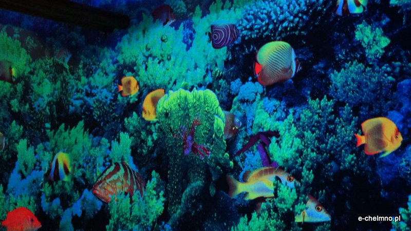 Familiarum w SOSW w Chełmnie