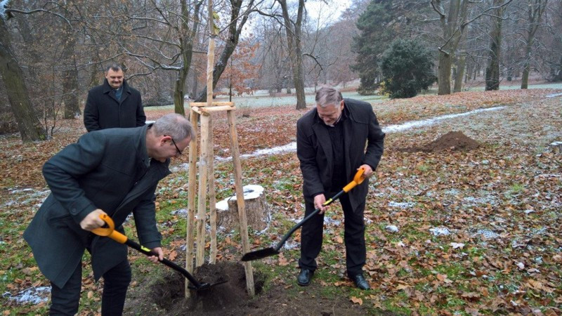Delegacja z Chełmna w mieście partnerskim Letovice