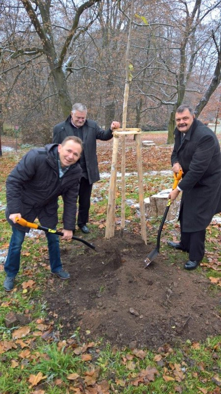 Delegacja z Chełmna w mieście partnerskim Letovice
