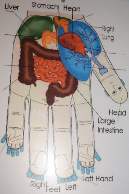 Gabinet Medycyny Wschodniej - Wojciech Wiliński