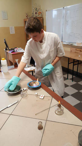 Festiwal nauki w Gimnazjum nr 1 im. Akademii Chełmińskiej