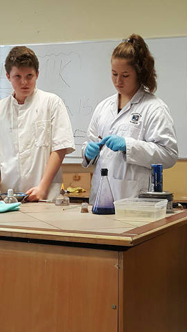 Festiwal nauki w Gimnazjum nr 1 im. Akademii Chełmińskiej