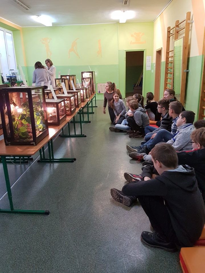 Pokazowa lekcja o zwierzętach egzotycznych w Szkole Podstawowej nr 4