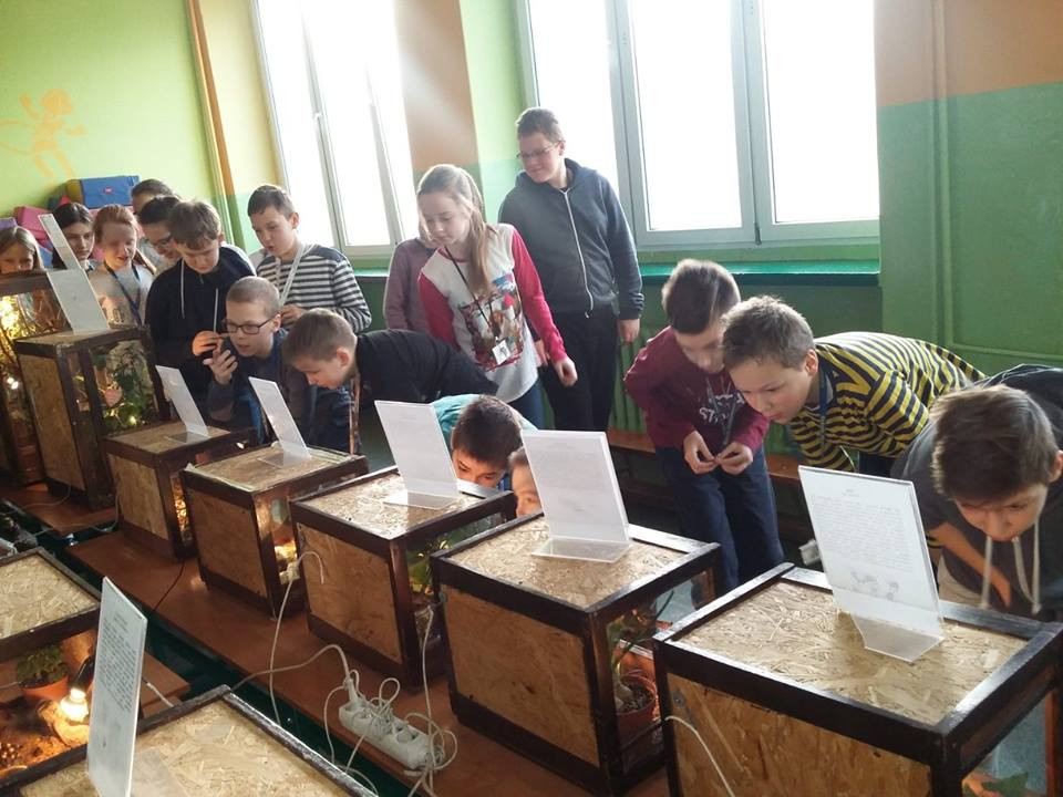 Pokazowa lekcja o zwierzętach egzotycznych w Szkole Podstawowej nr 4
