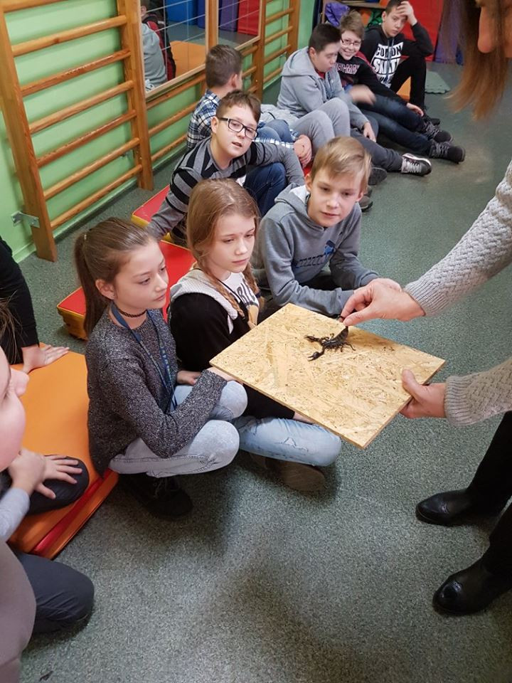 Pokazowa lekcja o zwierzętach egzotycznych w Szkole Podstawowej nr 4