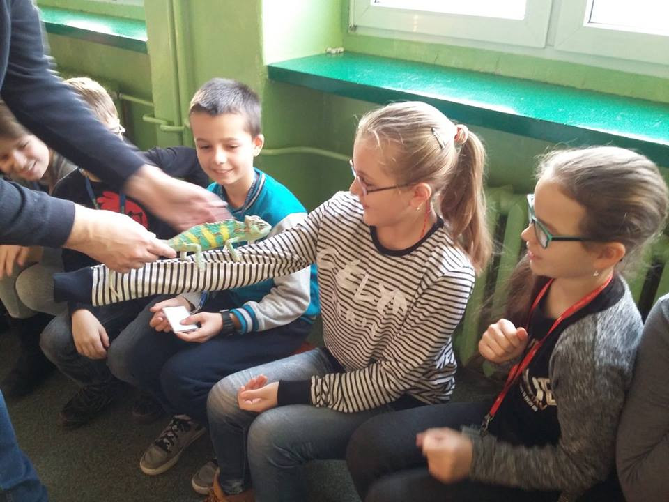 Pokazowa lekcja o zwierzętach egzotycznych w Szkole Podstawowej nr 4