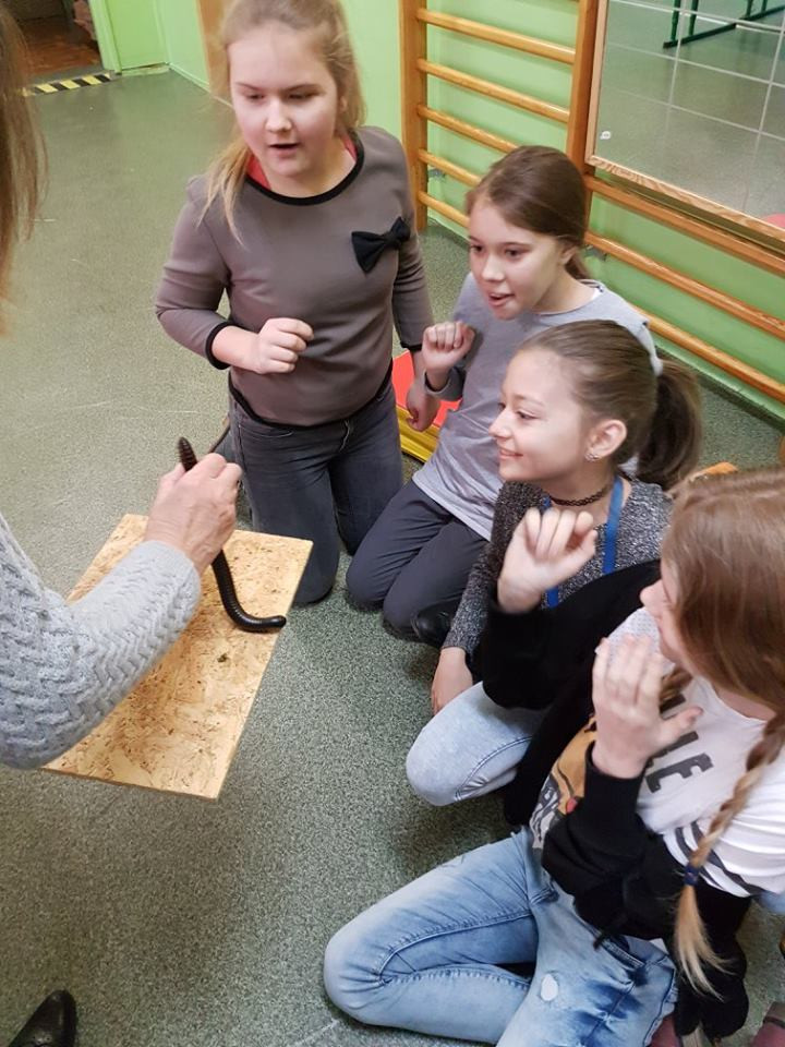 Pokazowa lekcja o zwierzętach egzotycznych w Szkole Podstawowej nr 4